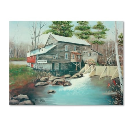 Arie Reinhardt Taylor 'Howards Creek Mill' Canvas Art,35x47